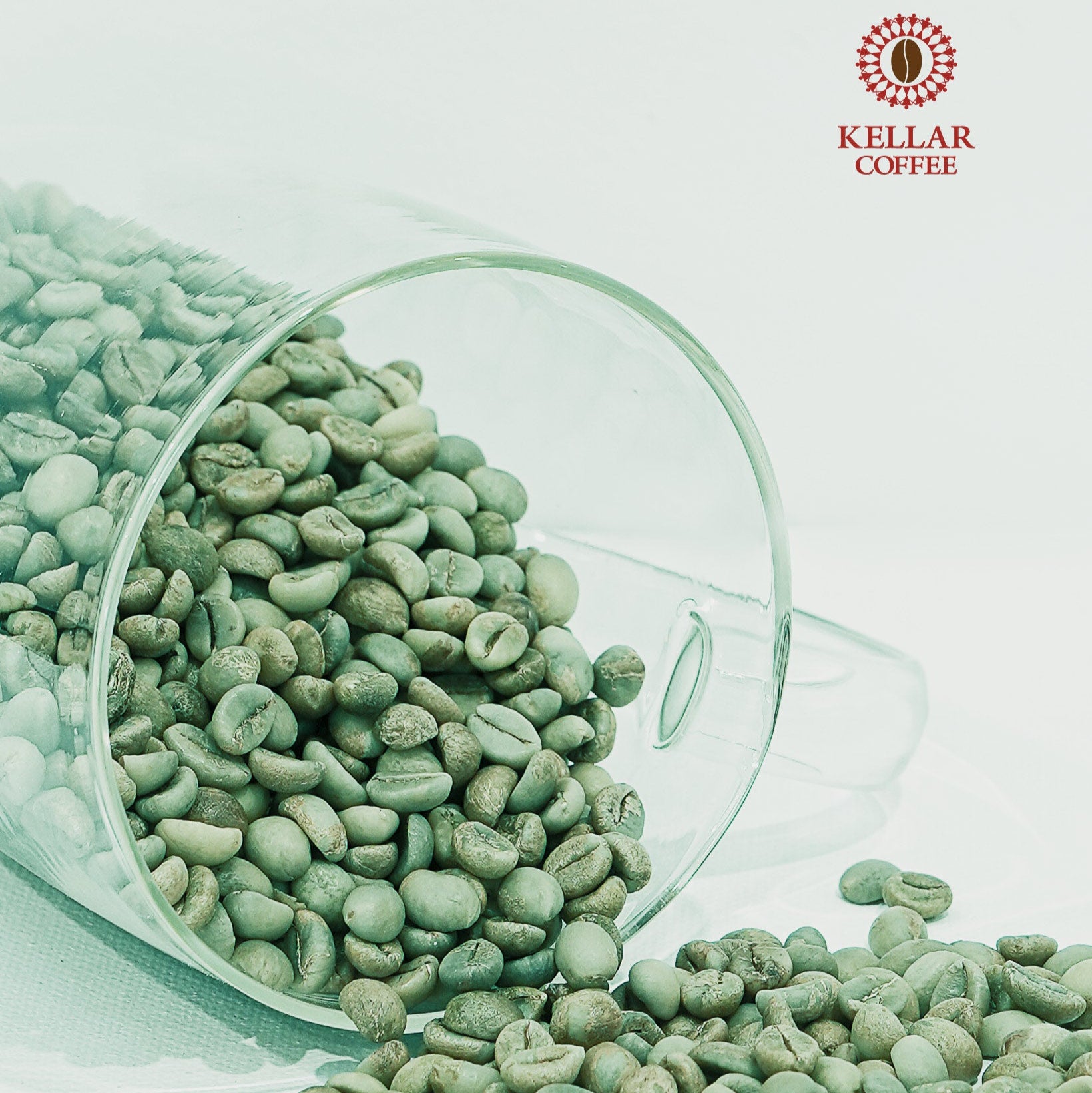 Green Beans - Robusta (Indian Kaapi Royale)